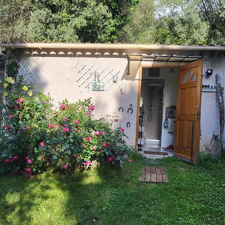 Studio A La Campagne Ucciani Extérieur photo
